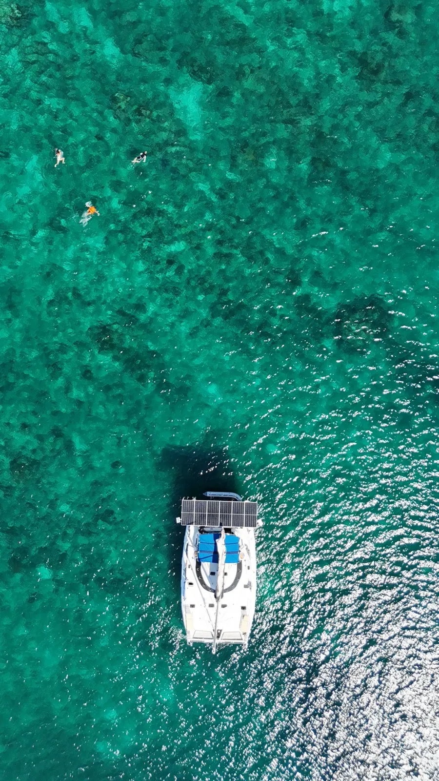 Aerial of catamaran near reef with snorkelers