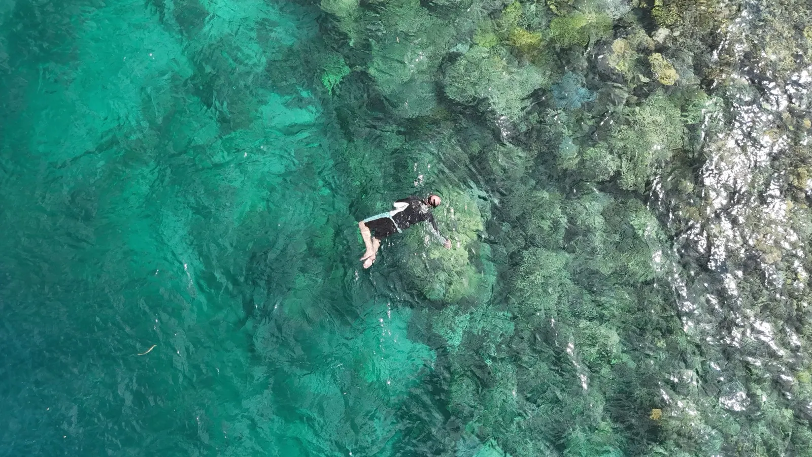 Aerial of a snorkeler floating over green reef water