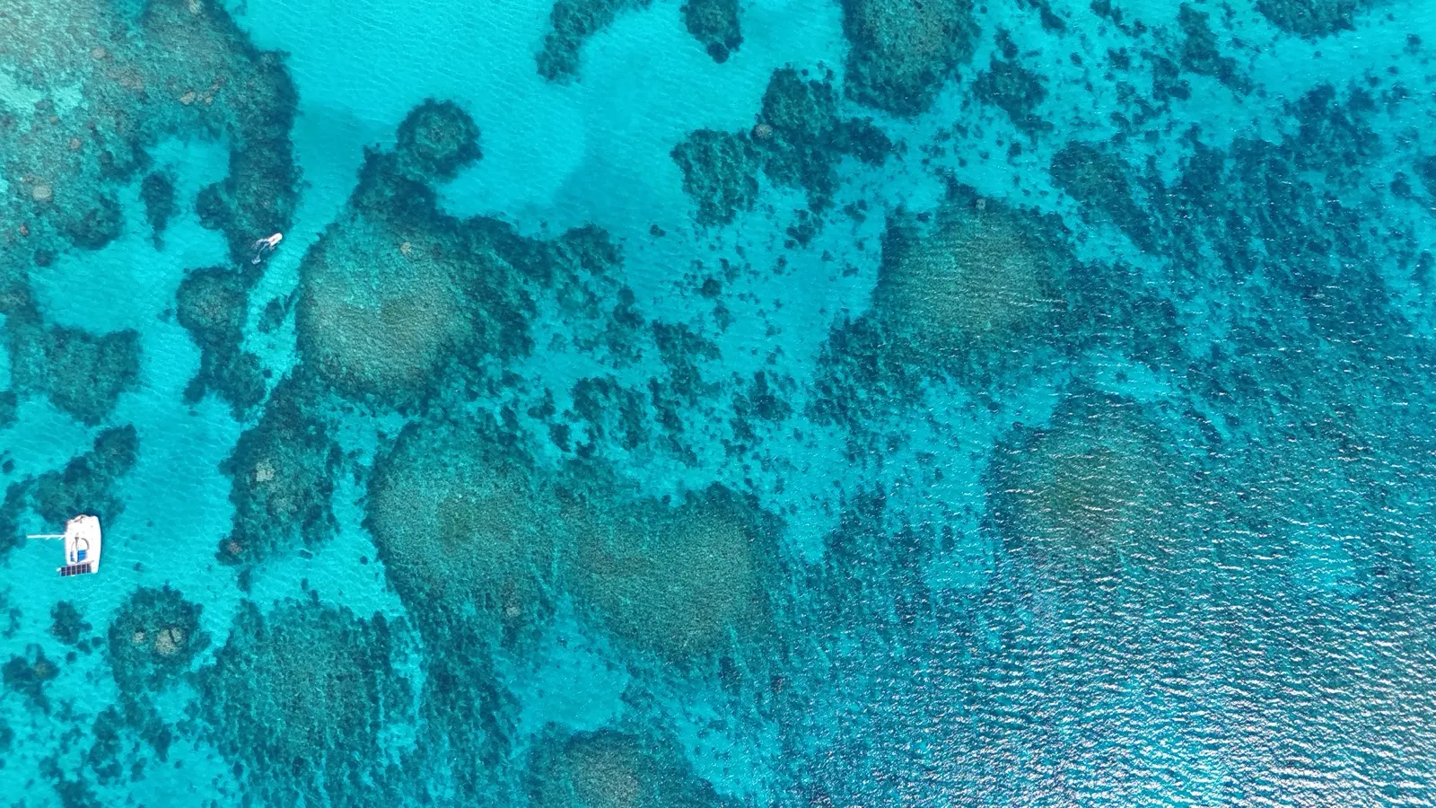 Aerial reef view, catamaran anchored, one snorkeler
