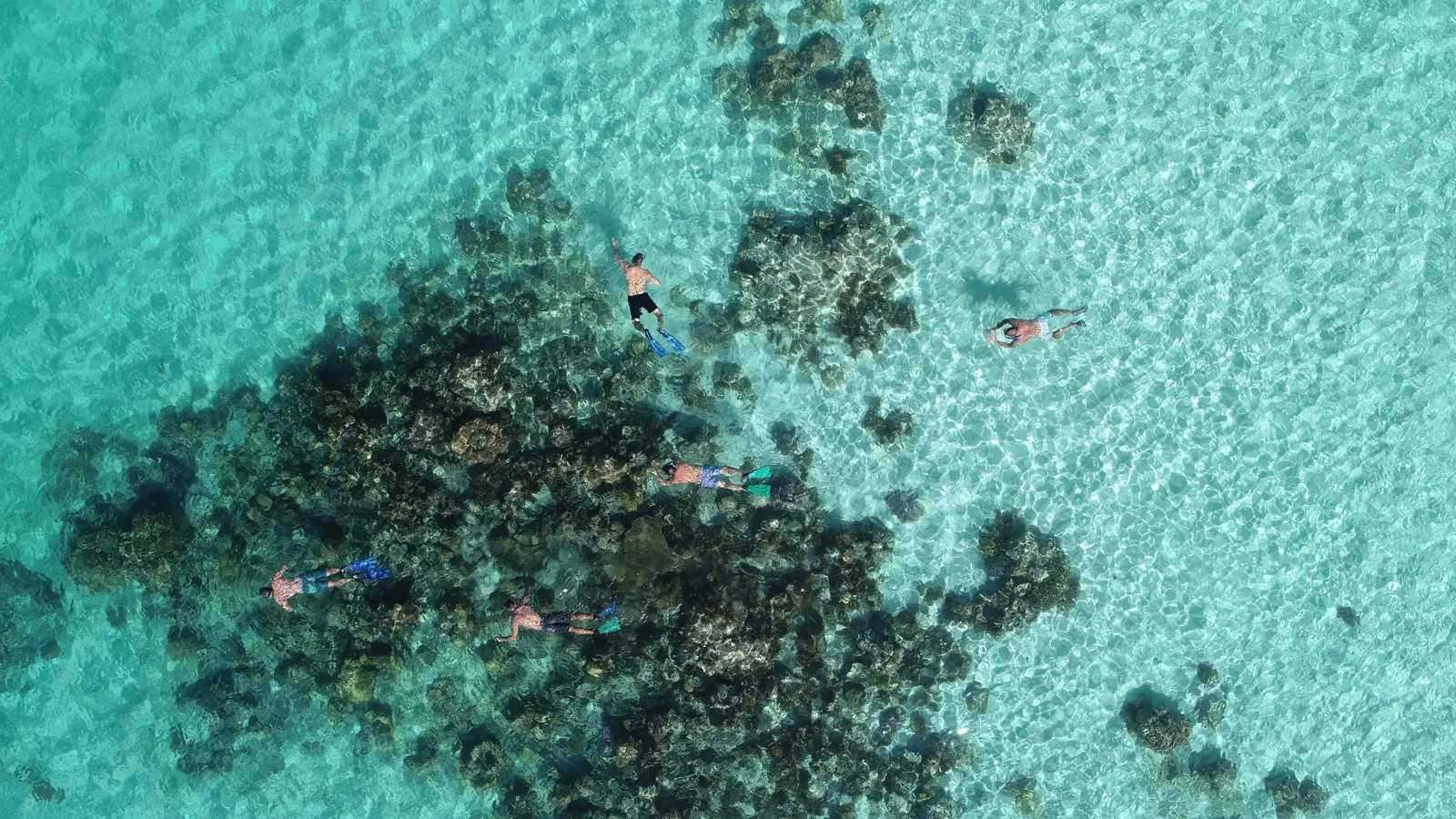 Overhead view of snorkelers swimming over a coral reef