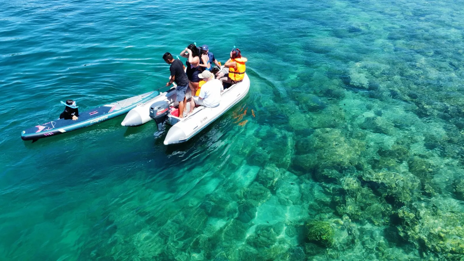 Guests snorkeling beside dinghy over shallow coral reef