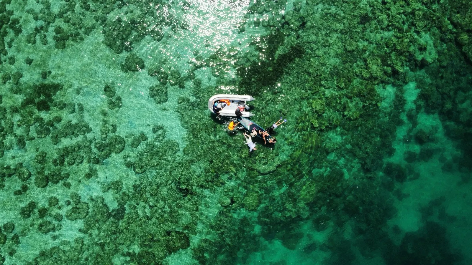 Aerial of snorkelers and dinghy over coral reef
