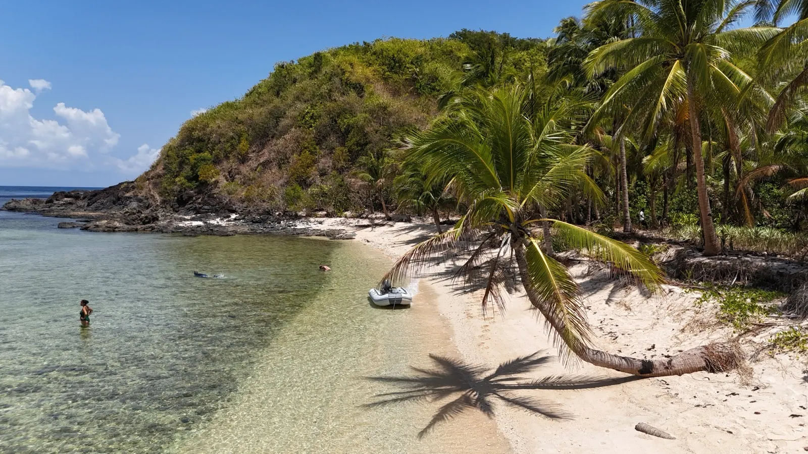 Palm-fringed beach cove with dinghy and swimmers