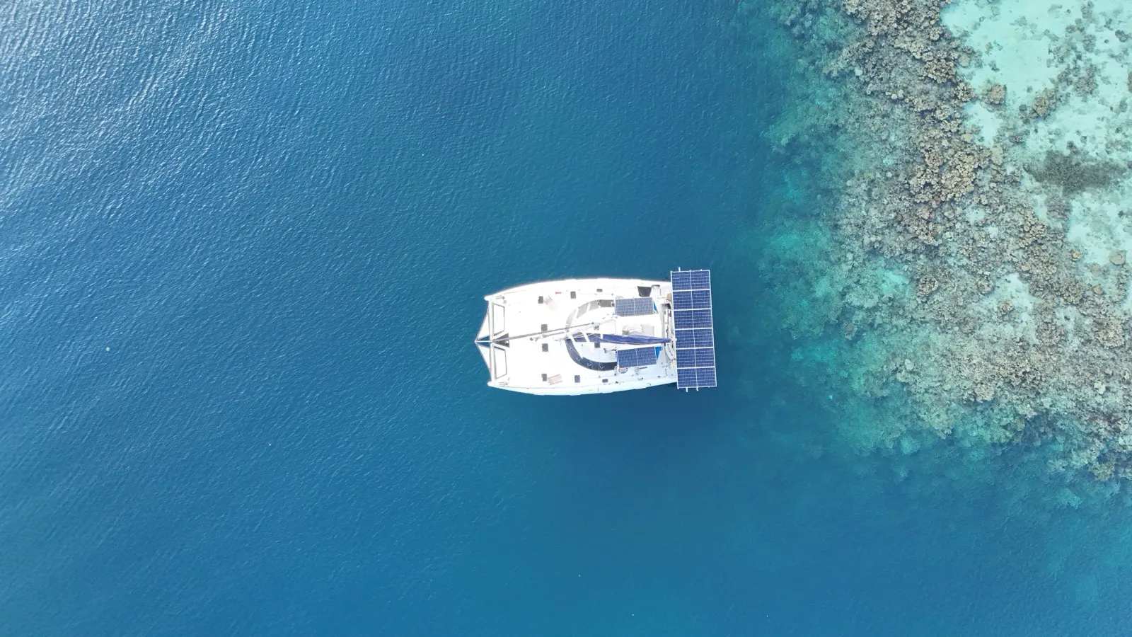 Top-down catamaran beside reef edge