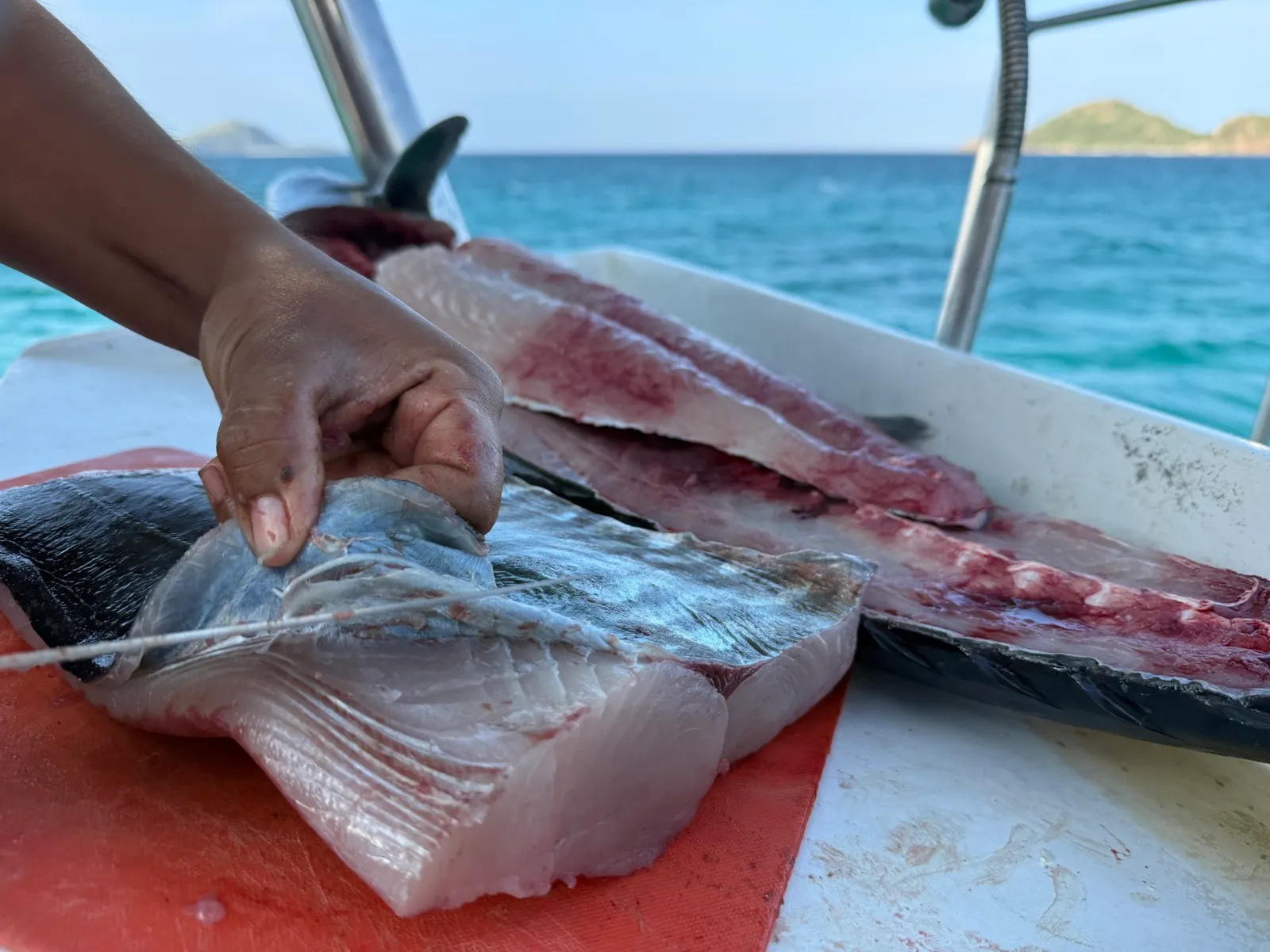 Filleting fish on cutting board aboard boat