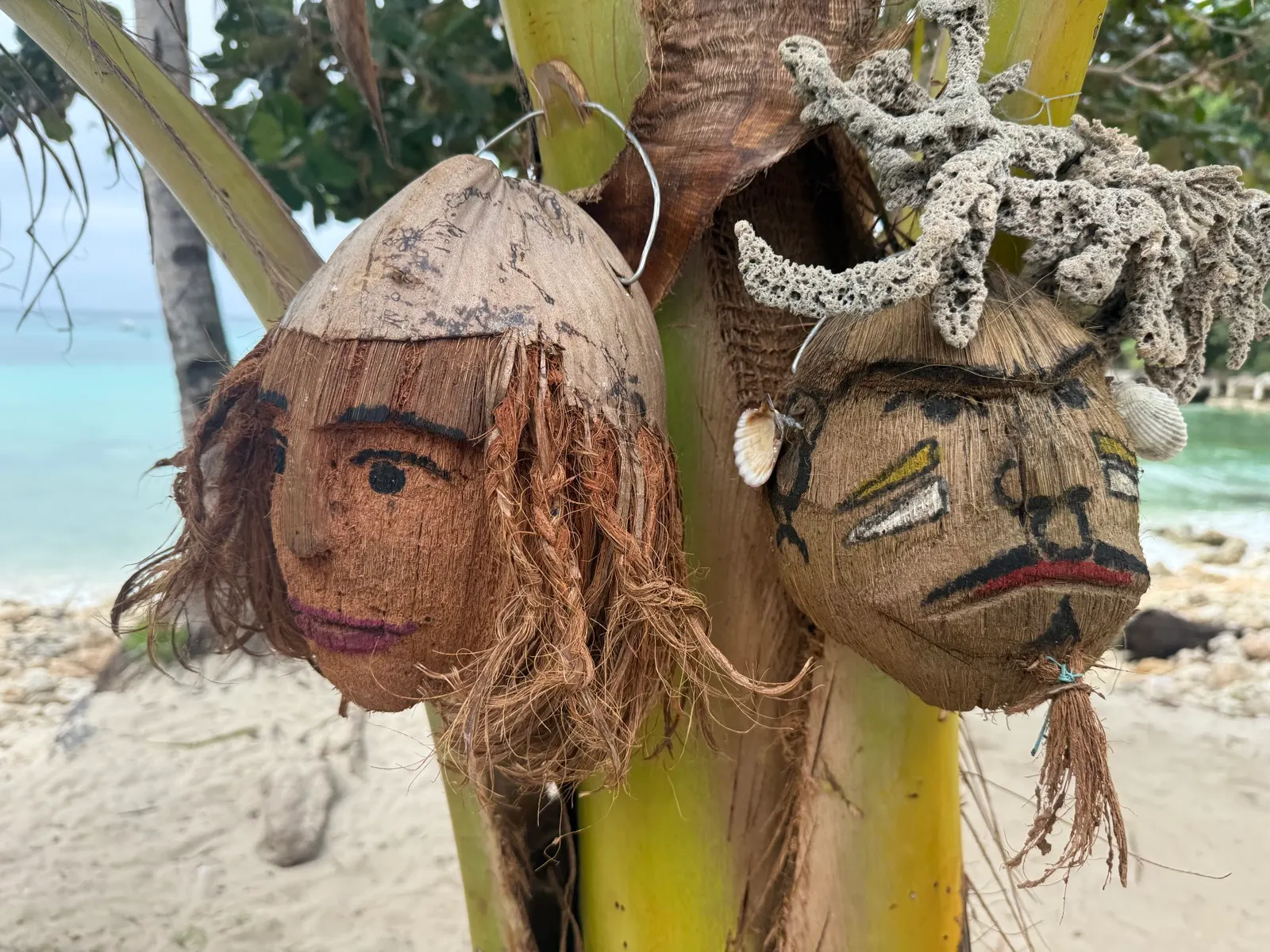 Hand-decorated coconut head masks hanging on palm tree