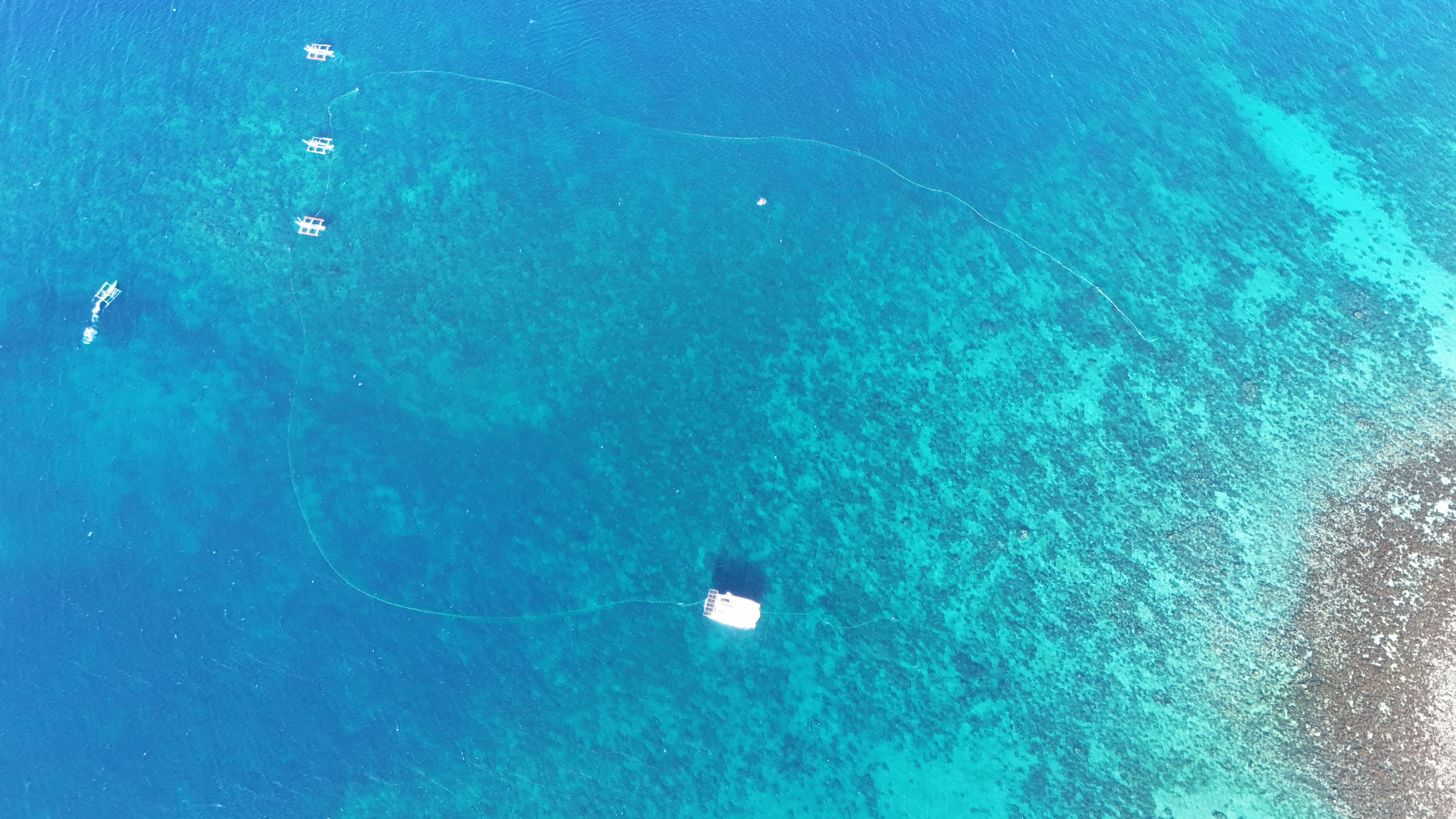 Kiteboarder near a paradise sandbar with guests on the beach