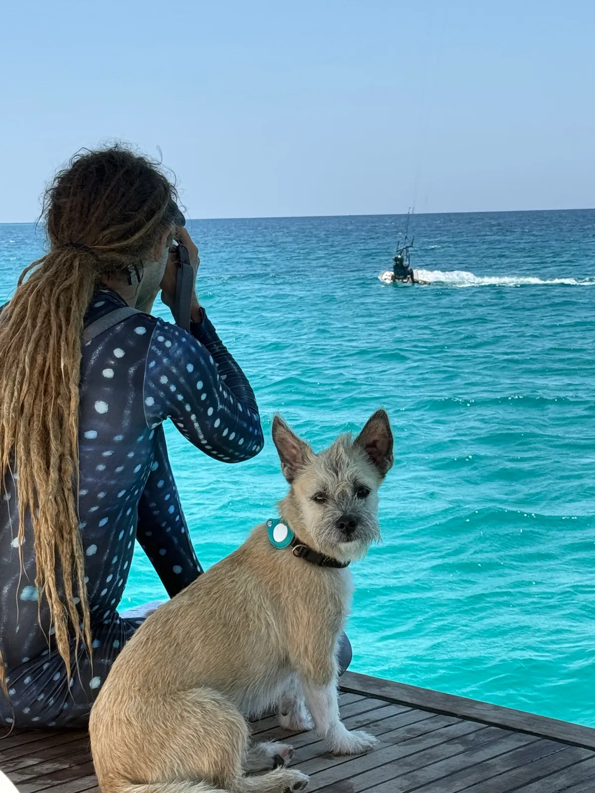 Aerial view of person paddleboarding with dog near cliffs