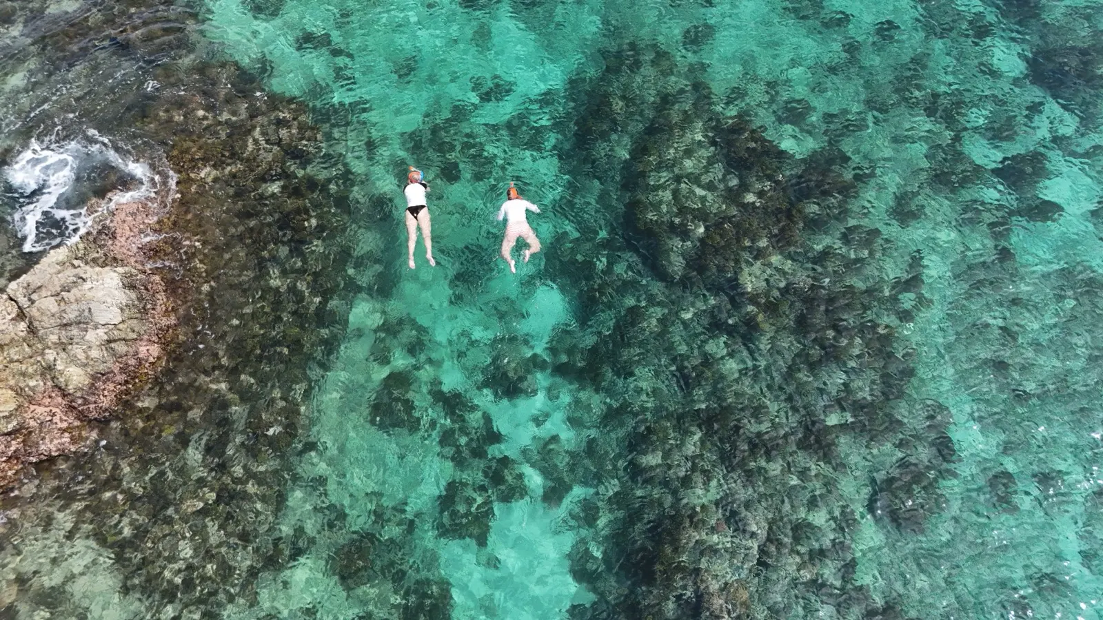 Two snorkelers viewed from above on reef