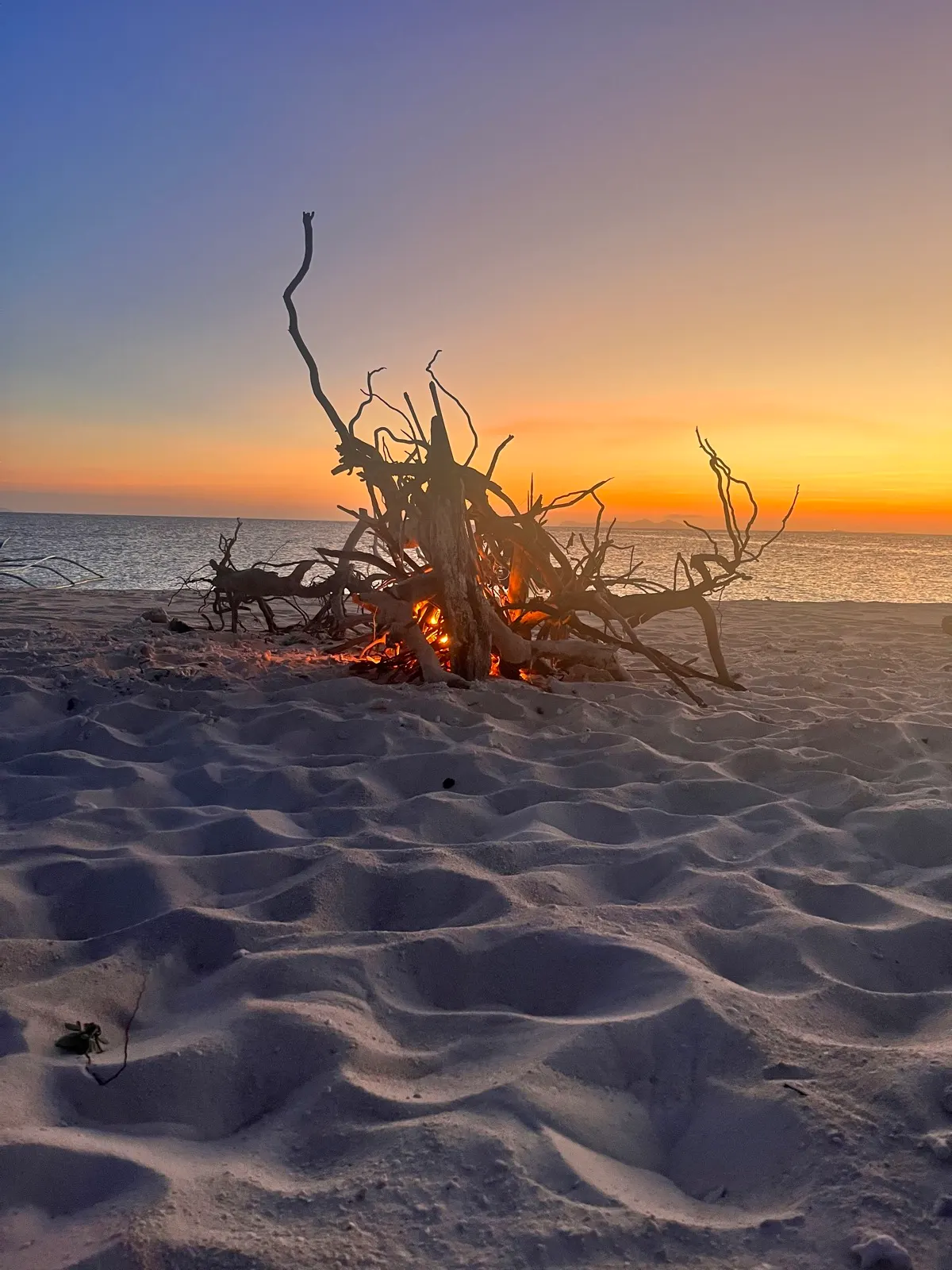 Driftwood bonfire on sand at dusk
